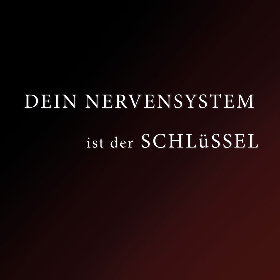 Stress, Angst und Überlastung? So unterstützt du dein Nervensystem natürlich