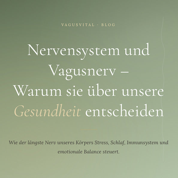 Nervensystem und Vagusnerv – Warum sie über unsere Gesundheit entscheiden